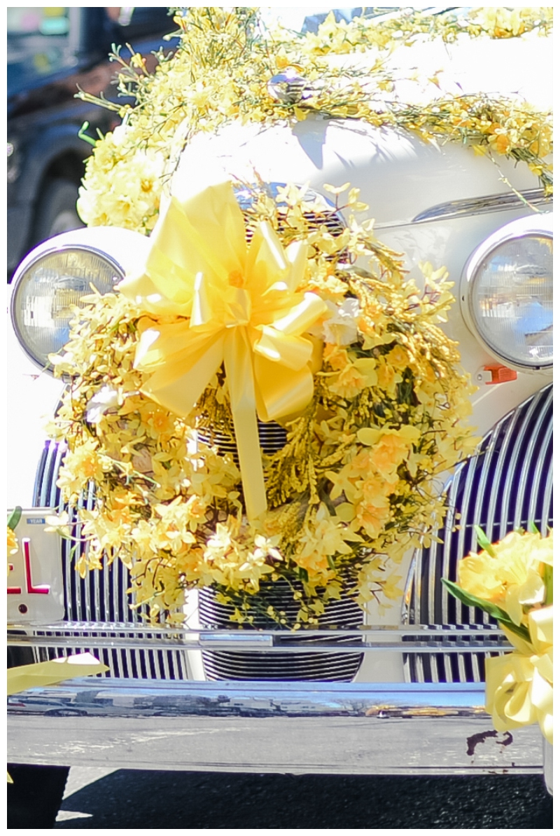 Nantucket Daffodil Day Parade -128