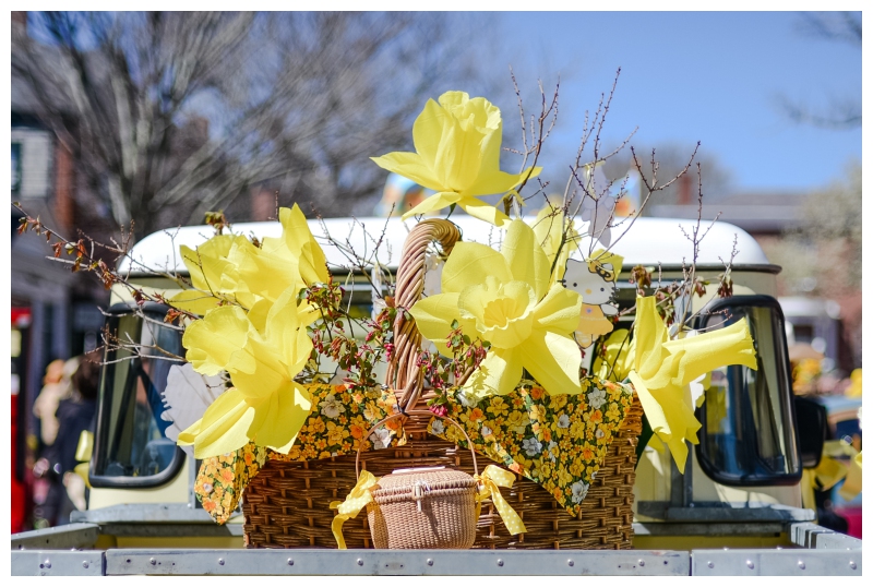 Nantucket Daffodil Day Parade -3