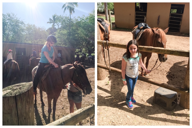 Horseback Riding with Tropical Trail Rides Puerto Rico Vacation 1