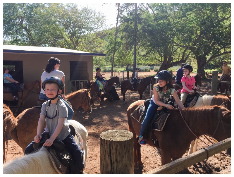 Horseback Riding with Tropical Trail Rides Puerto Rico Vacation 2