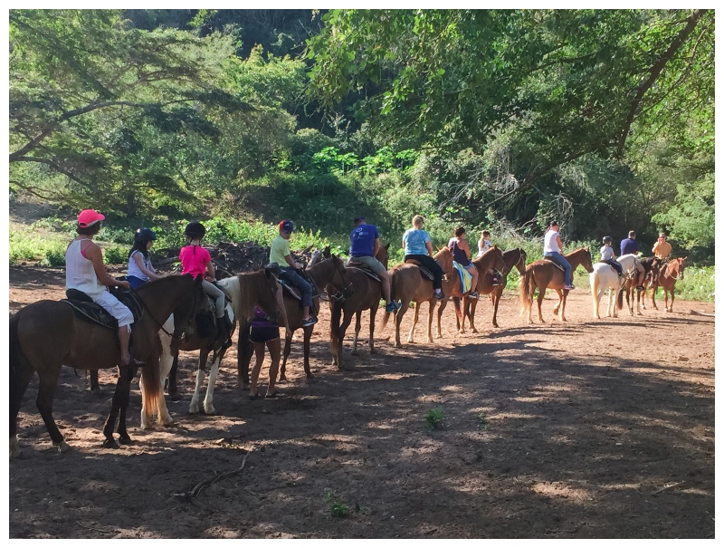 Horseback Riding with Tropical Trail Rides Puerto Rico Vacation 2a