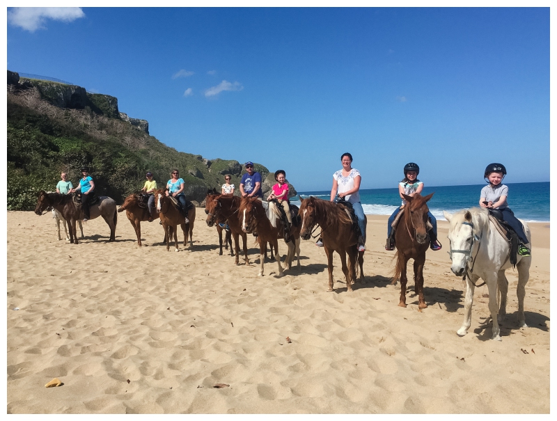 Horseback Riding with Tropical Trail Rides Puerto Rico Vacation 4