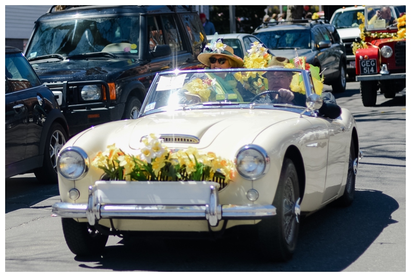 Nantucket Daffodil Day Parade -104