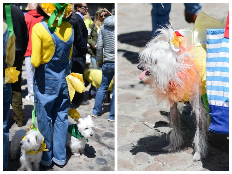 Nantucket Daffodil Day Parade -152