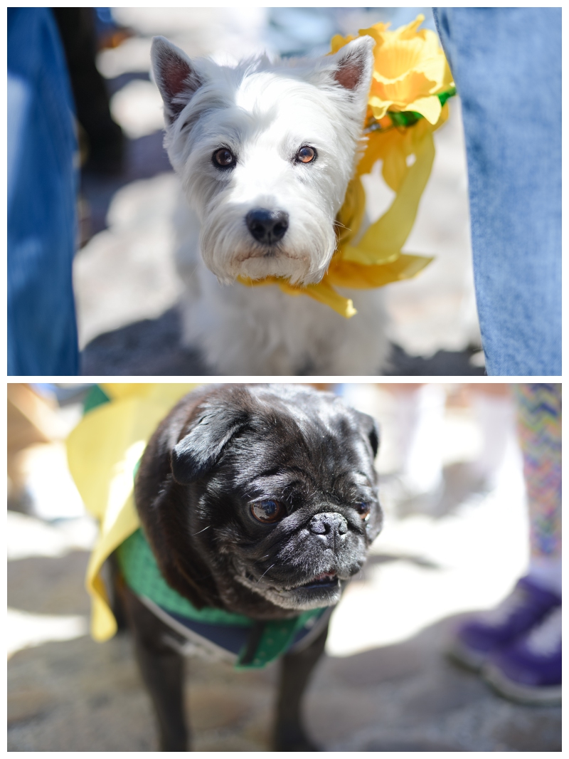 Nantucket Daffodil Day Parade -153