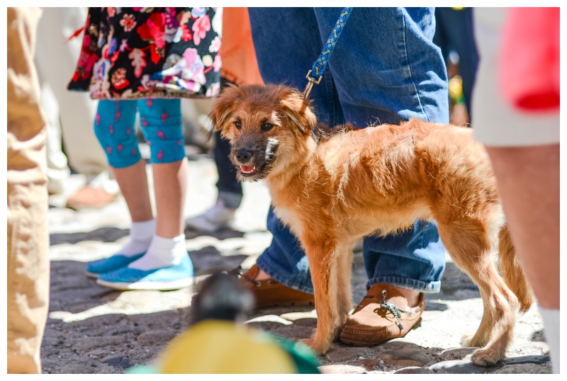 Nantucket Daffodil Day Parade -159