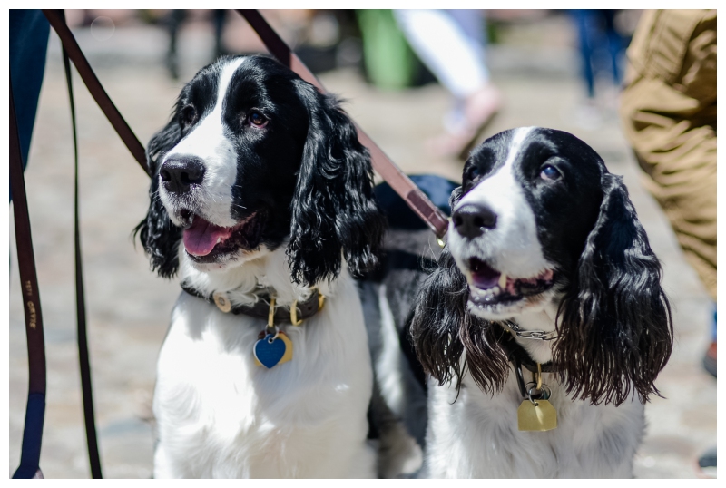 Nantucket Daffodil Day Parade -170