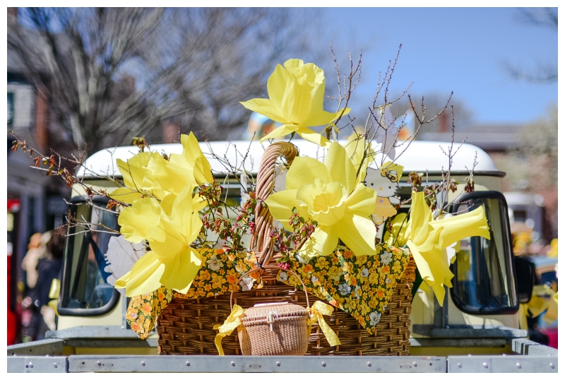 The Nantucket Daffodil Parade