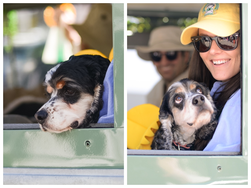 Nantucket Daffodil Day Parade -54