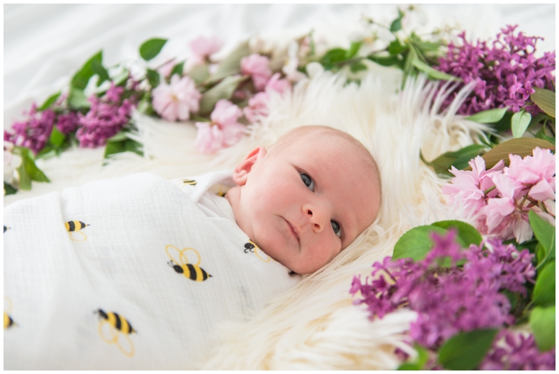 Nantucket Newborn portrait | Baby Adele