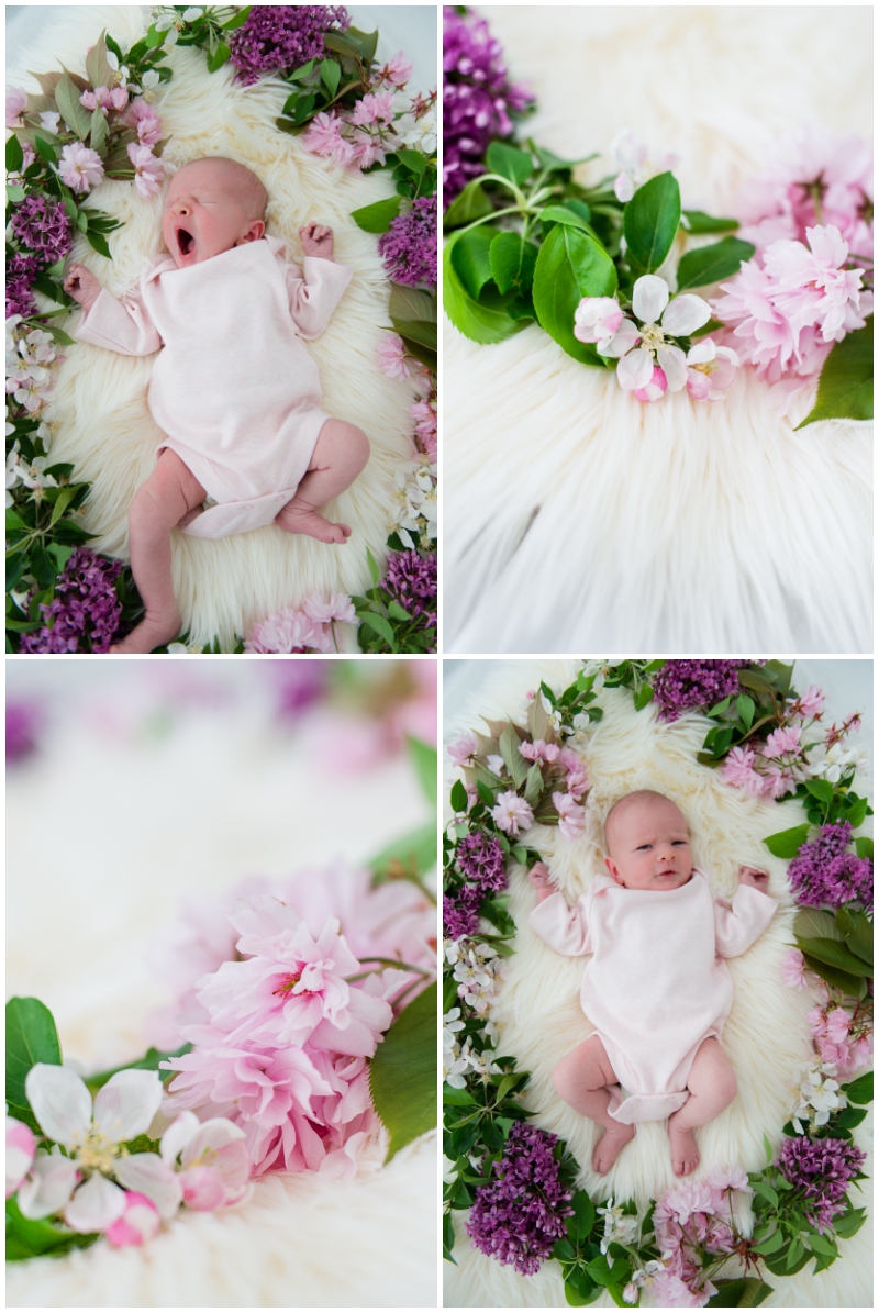 Adele Newborn Spring Portrait- (3)