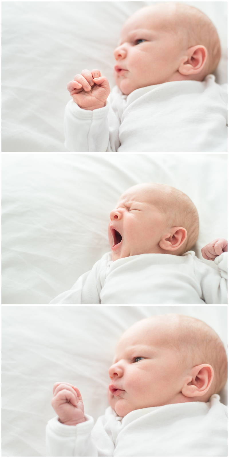 Adele Newborn Spring Portrait- (8)