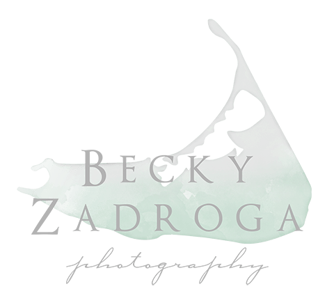 Becky Zadroga Photography Logo 2