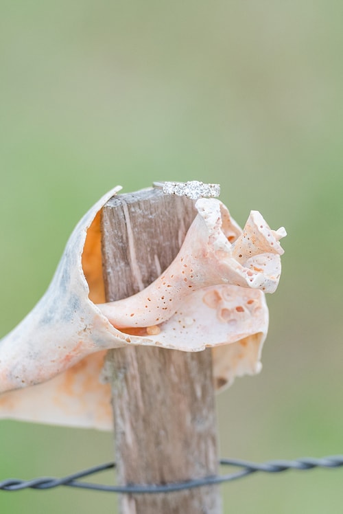 Nantucket Proposal,nantucket proposals,nantucket wedding proposals